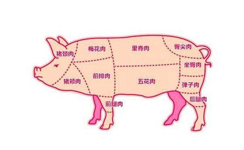 包饺子用猪肉哪个部位更好吃？为什么？