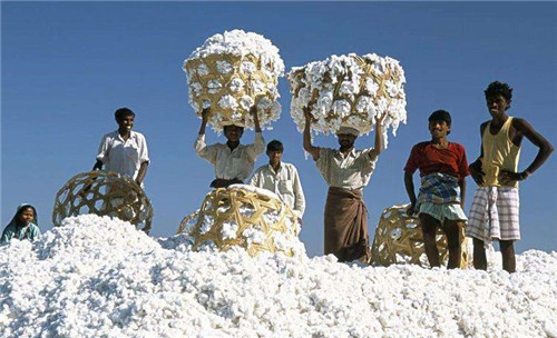 棉花传入中国